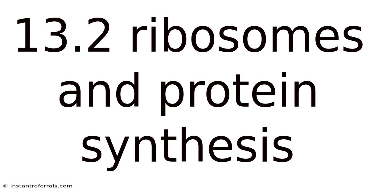 13.2 Ribosomes And Protein Synthesis