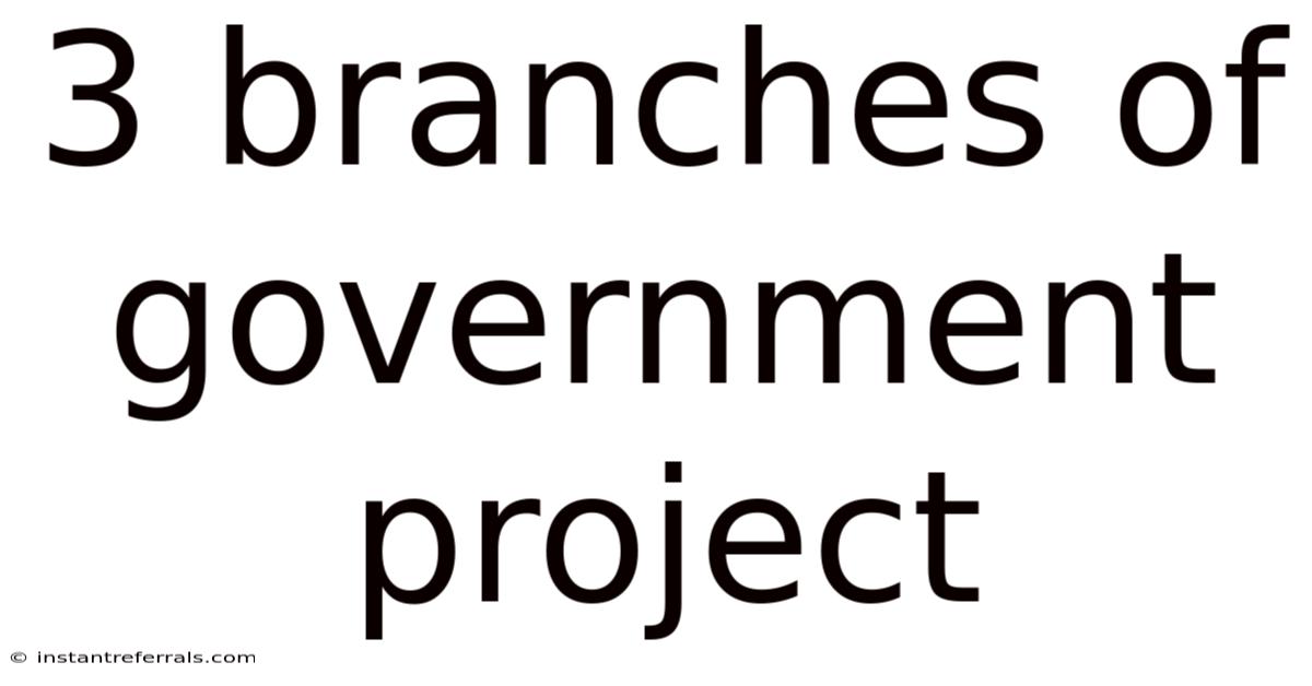 3 Branches Of Government Project
