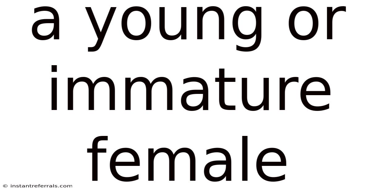 A Young Or Immature Female
