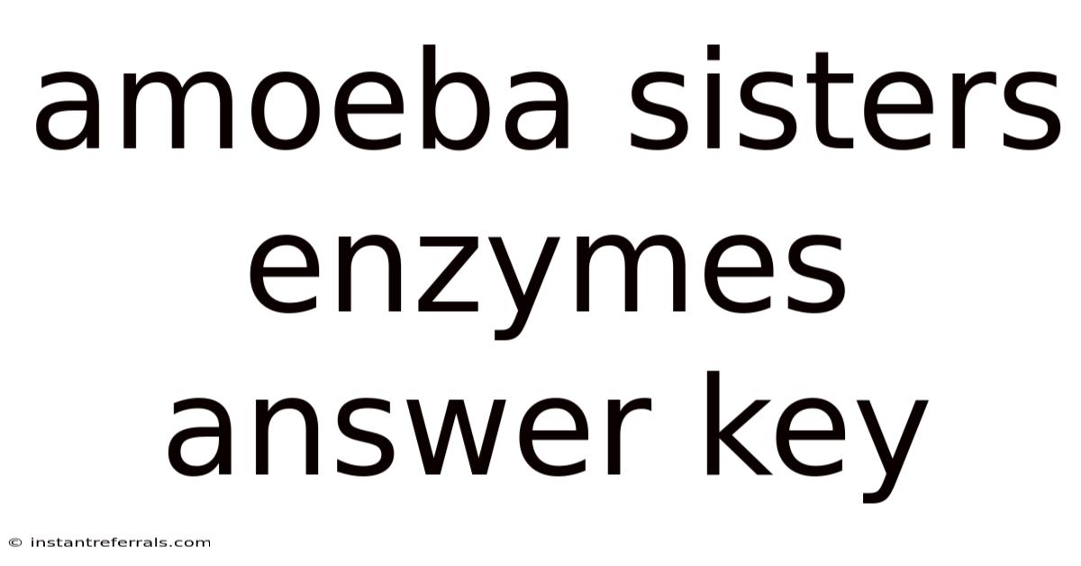 Amoeba Sisters Enzymes Answer Key