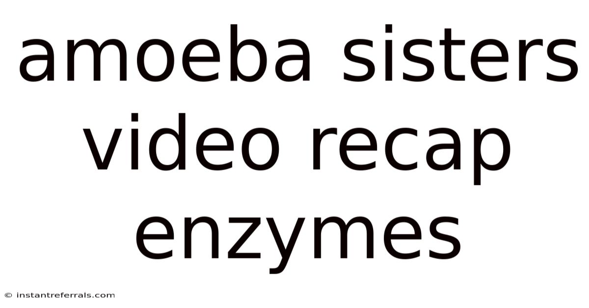 Amoeba Sisters Video Recap Enzymes