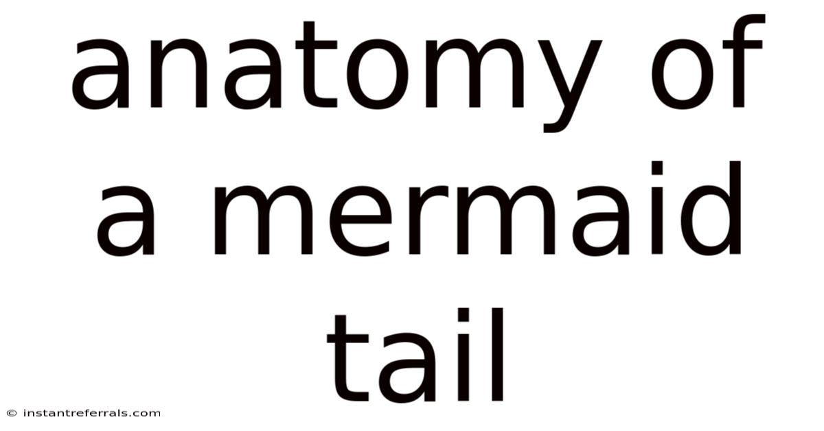 Anatomy Of A Mermaid Tail