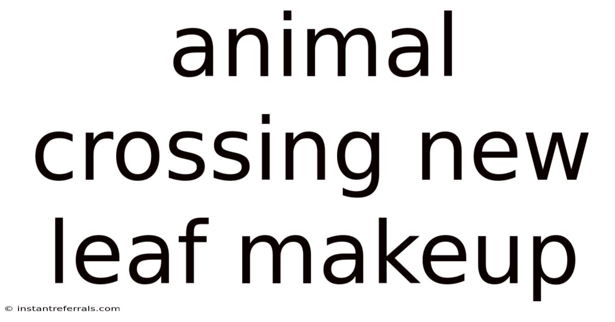 Animal Crossing New Leaf Makeup