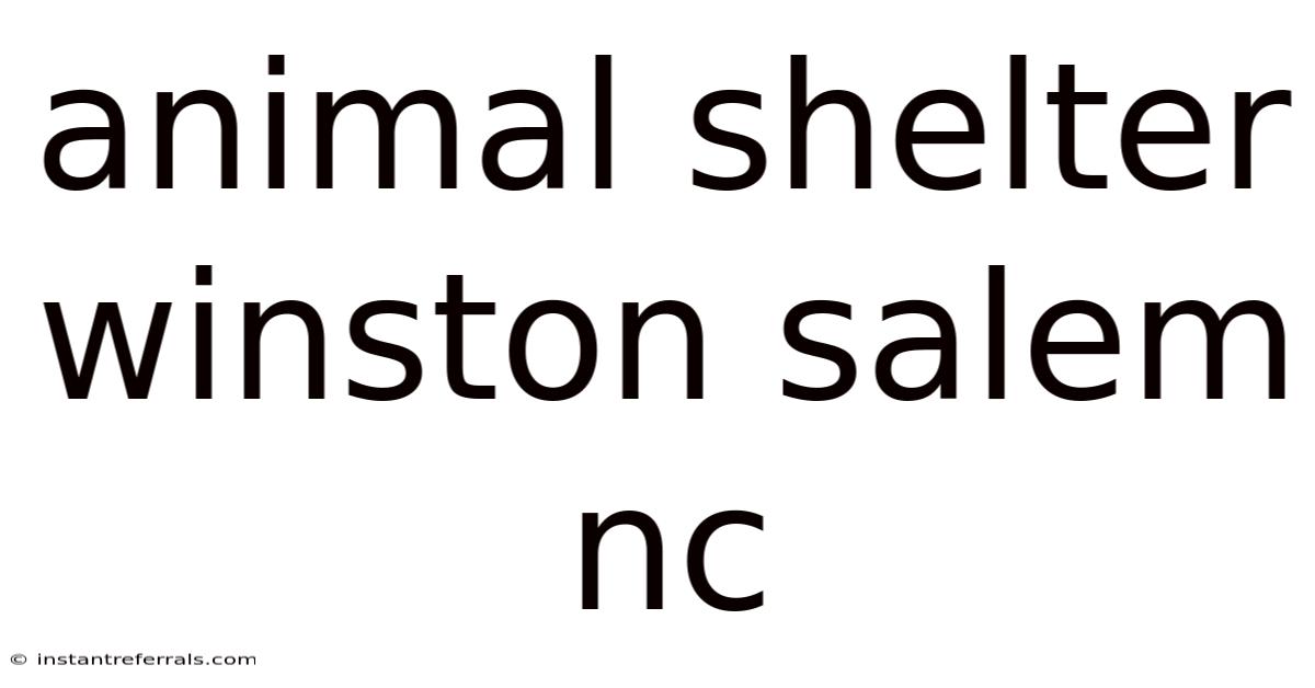 Animal Shelter Winston Salem Nc