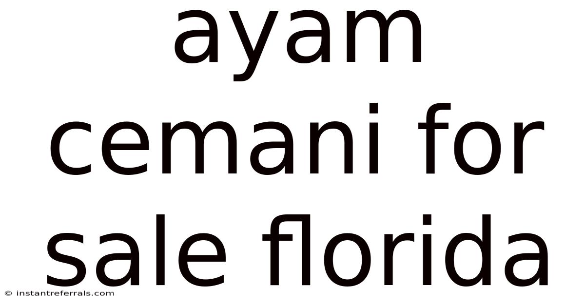 Ayam Cemani For Sale Florida