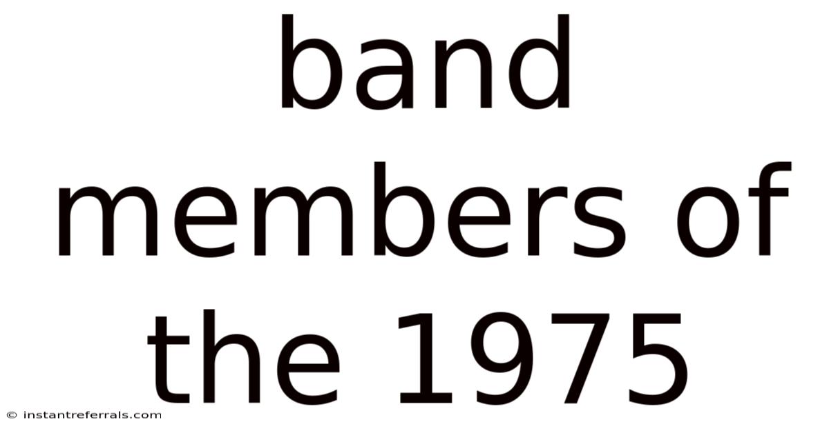 Band Members Of The 1975