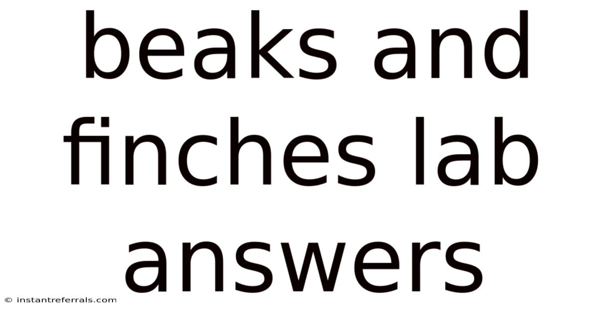 Beaks And Finches Lab Answers