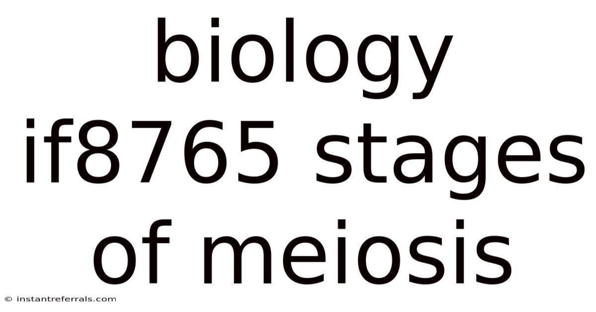Biology If8765 Stages Of Meiosis