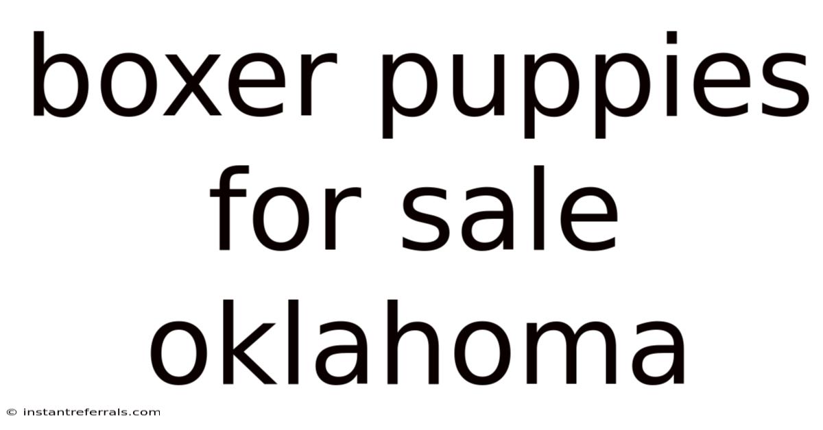 Boxer Puppies For Sale Oklahoma