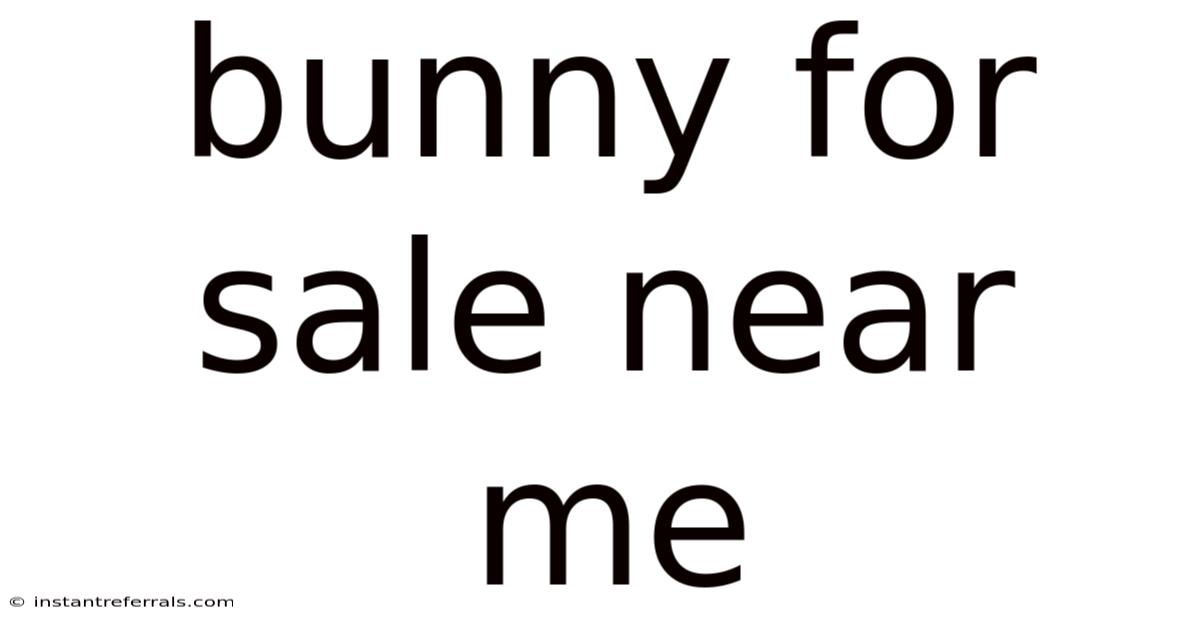 Bunny For Sale Near Me