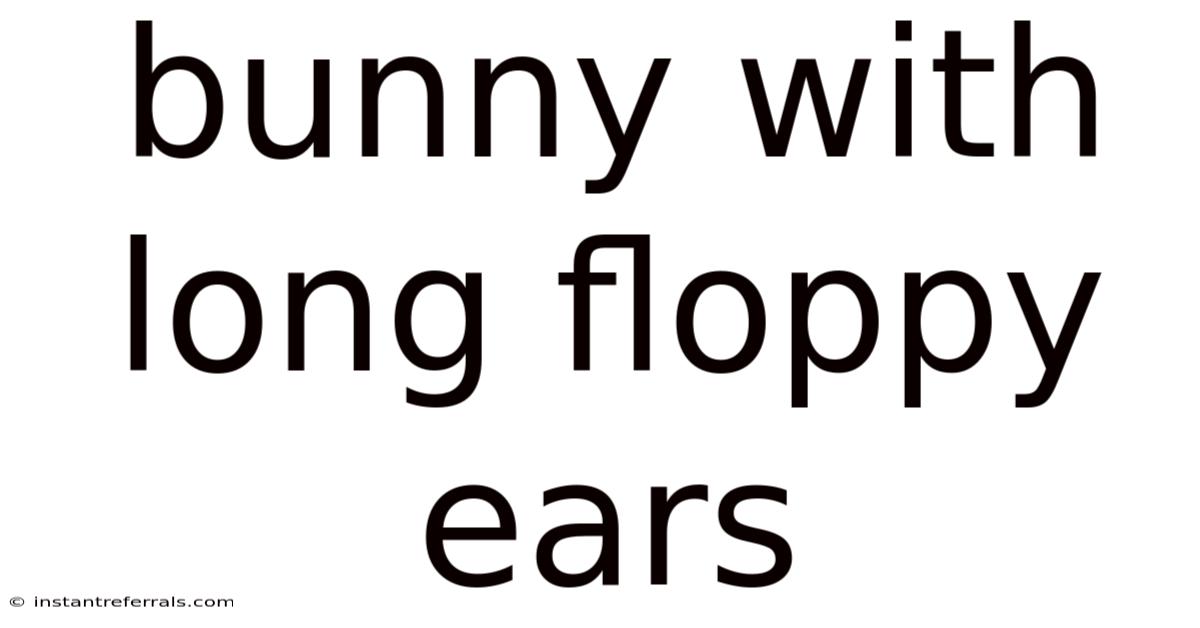 Bunny With Long Floppy Ears
