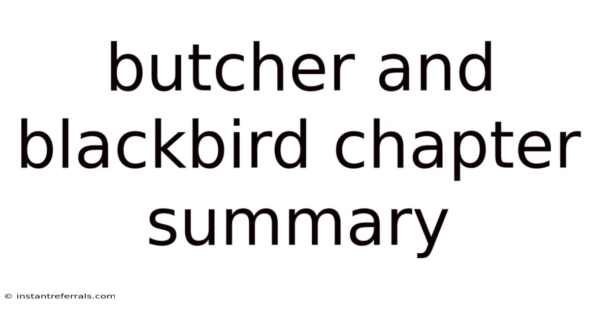 Butcher And Blackbird Chapter Summary