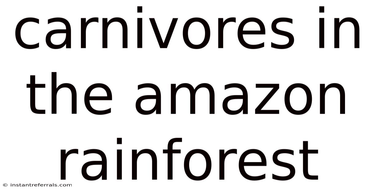 Carnivores In The Amazon Rainforest