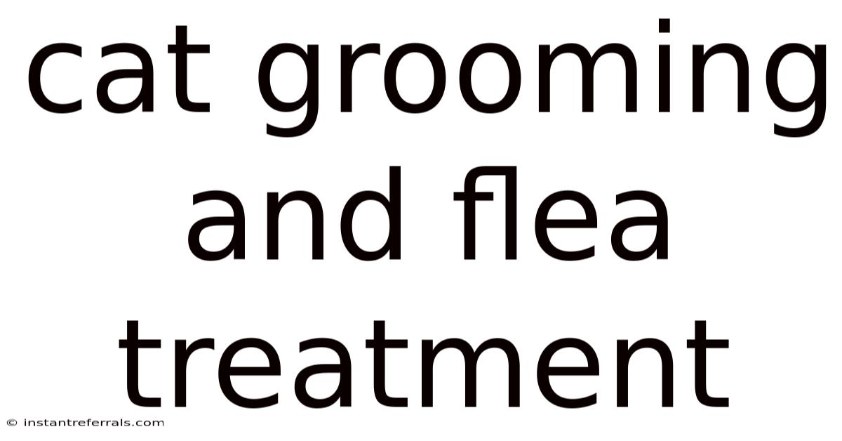 Cat Grooming And Flea Treatment