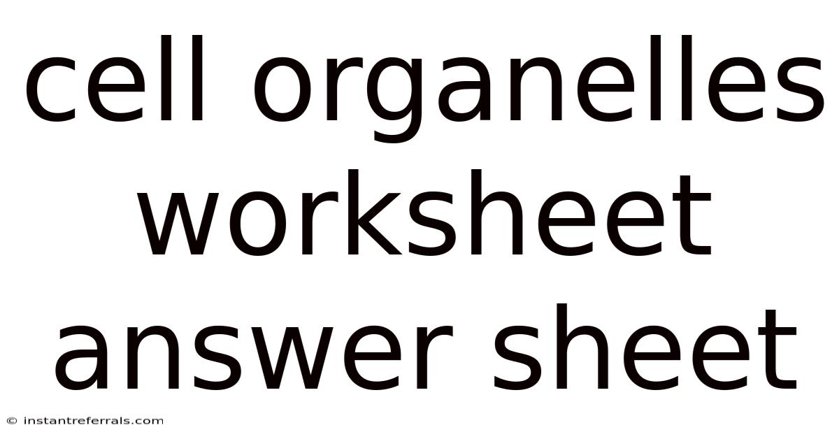 Cell Organelles Worksheet Answer Sheet