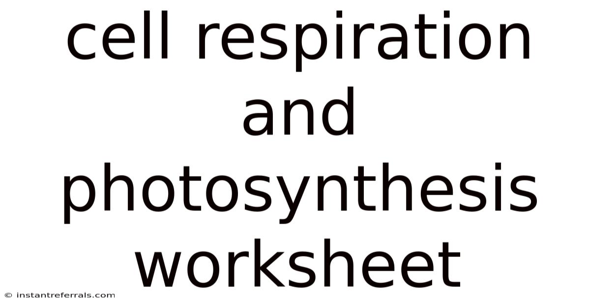 Cell Respiration And Photosynthesis Worksheet