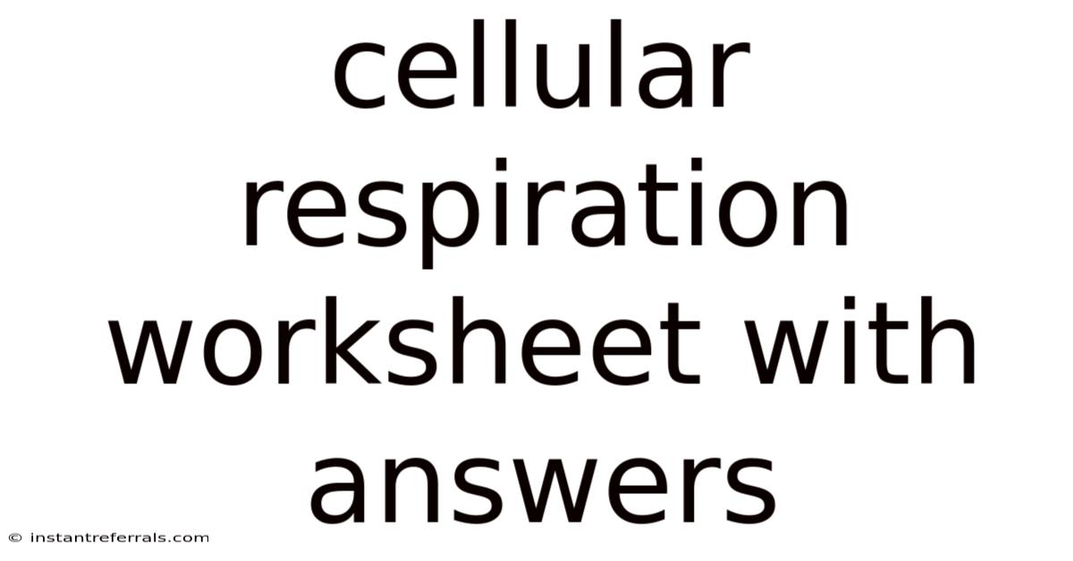 Cellular Respiration Worksheet With Answers