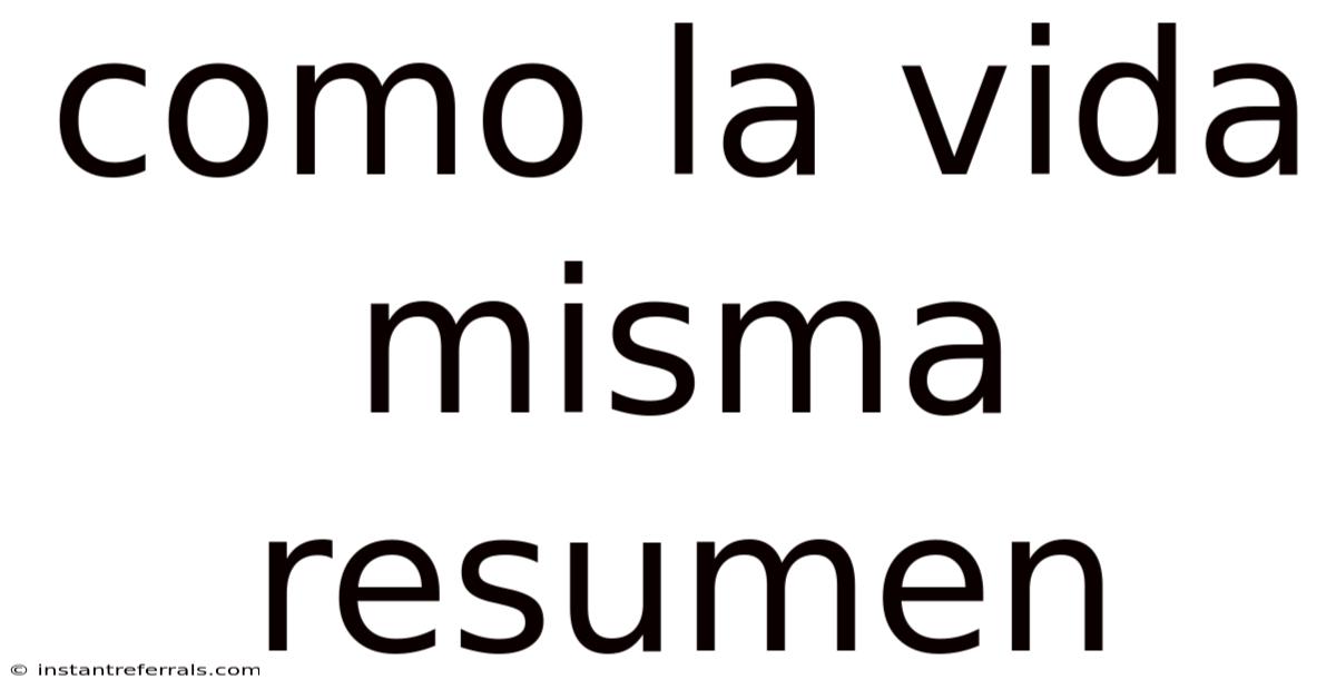 Como La Vida Misma Resumen