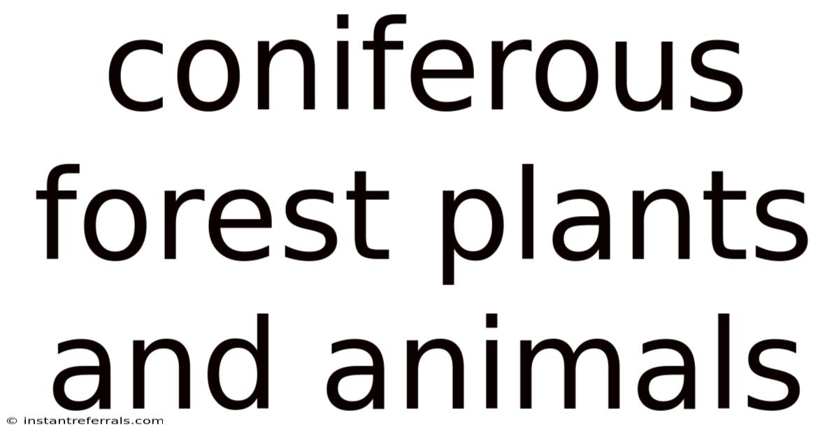 Coniferous Forest Plants And Animals