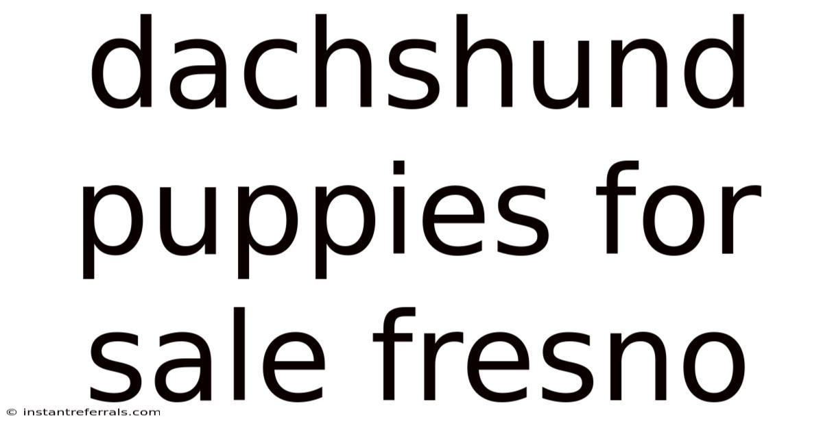 Dachshund Puppies For Sale Fresno