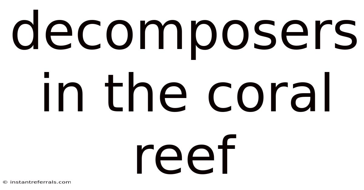 Decomposers In The Coral Reef