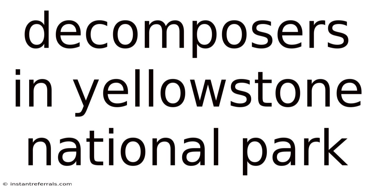 Decomposers In Yellowstone National Park