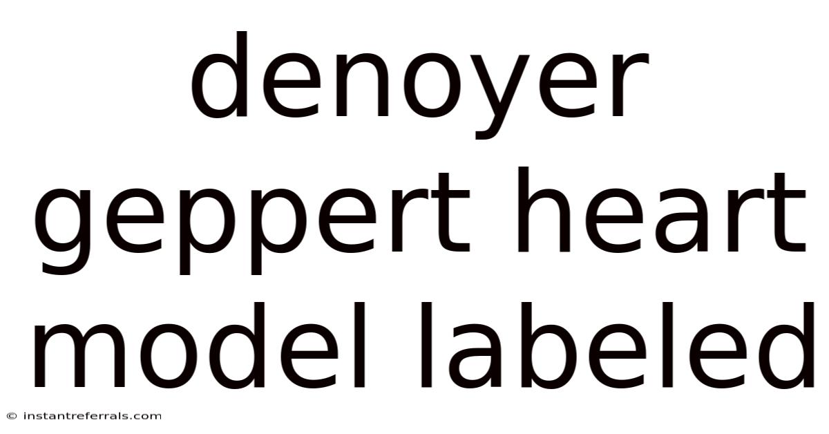 Denoyer Geppert Heart Model Labeled