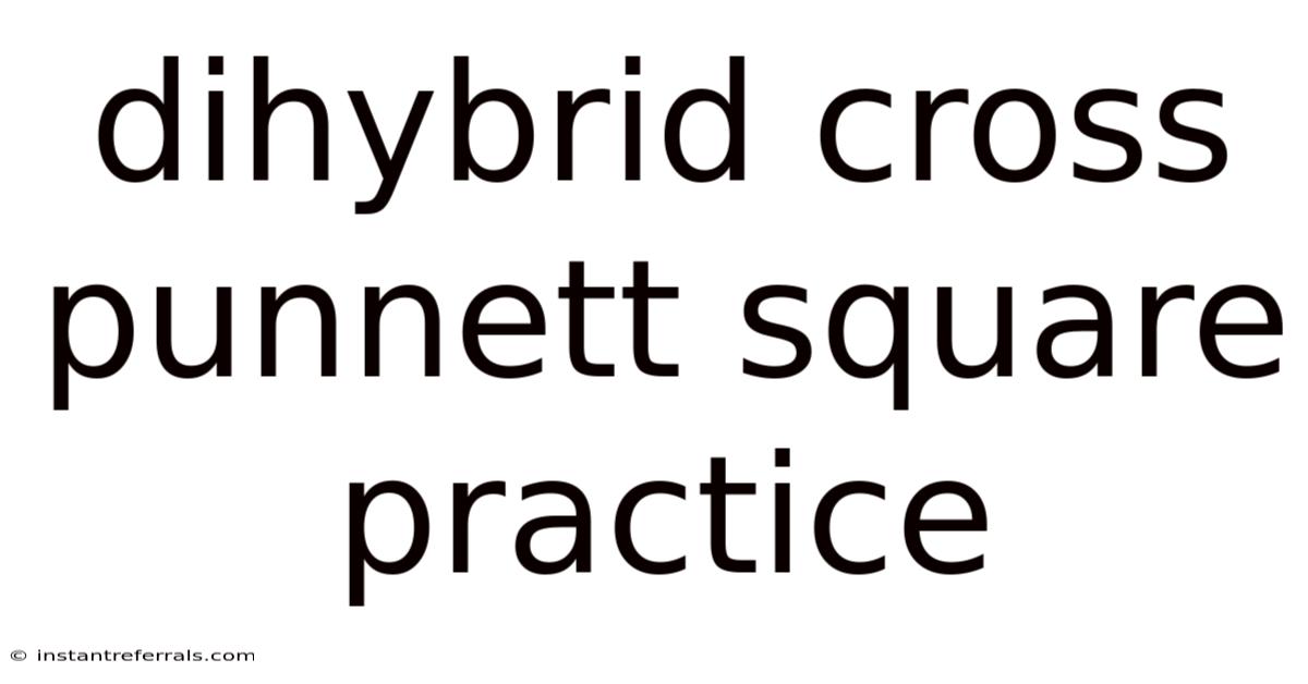 Dihybrid Cross Punnett Square Practice