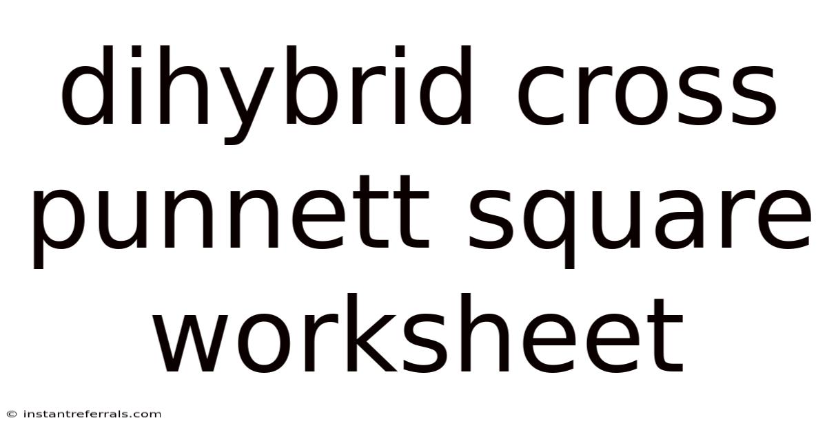 Dihybrid Cross Punnett Square Worksheet