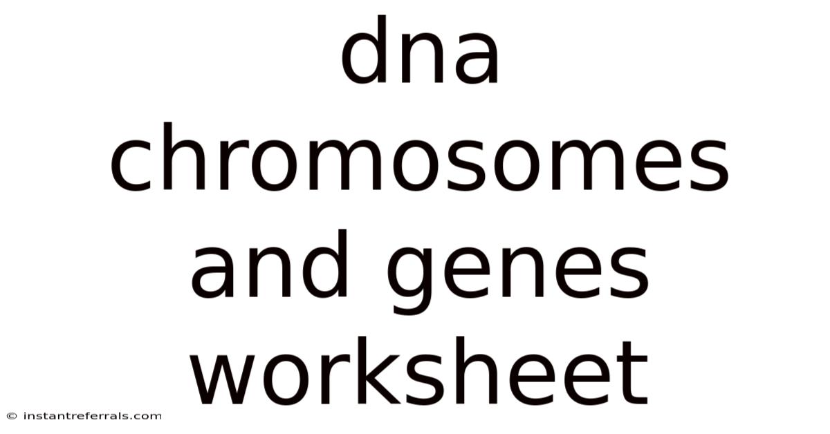 Dna Chromosomes And Genes Worksheet