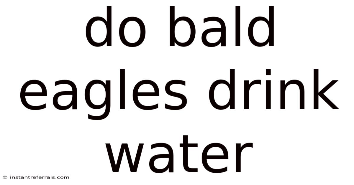 Do Bald Eagles Drink Water