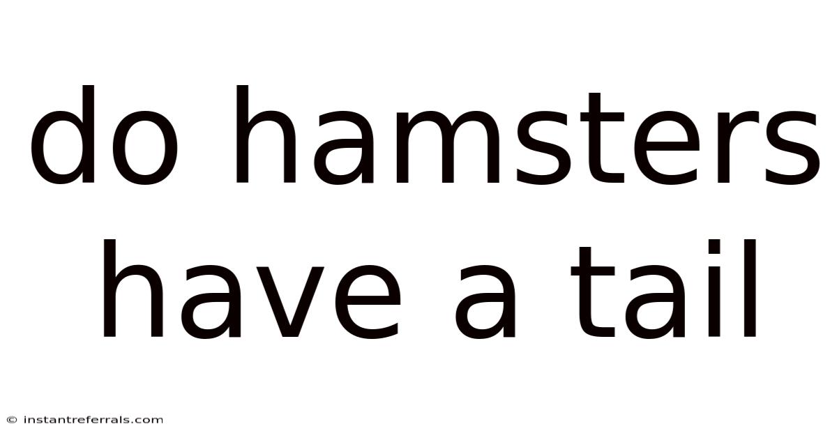 Do Hamsters Have A Tail