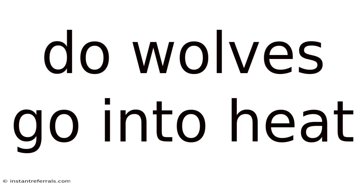 Do Wolves Go Into Heat