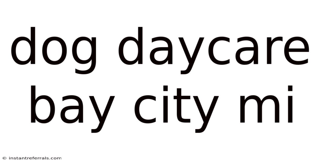 Dog Daycare Bay City Mi