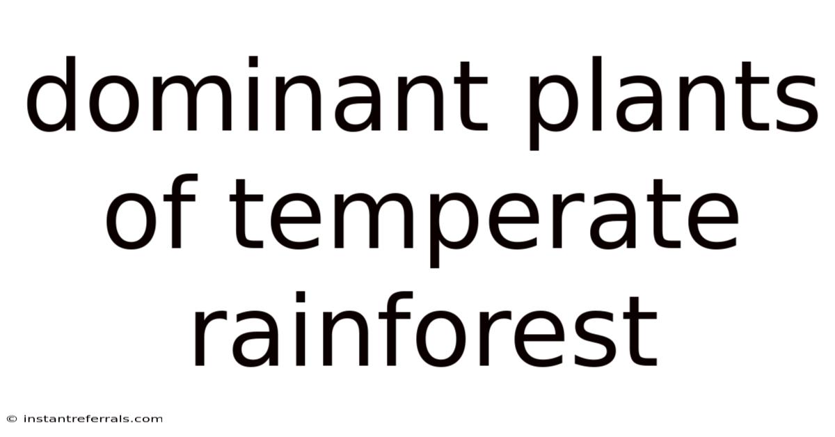Dominant Plants Of Temperate Rainforest