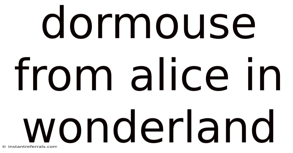 Dormouse From Alice In Wonderland