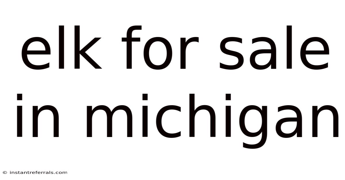 Elk For Sale In Michigan