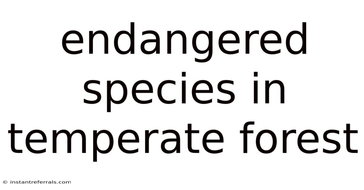 Endangered Species In Temperate Forest