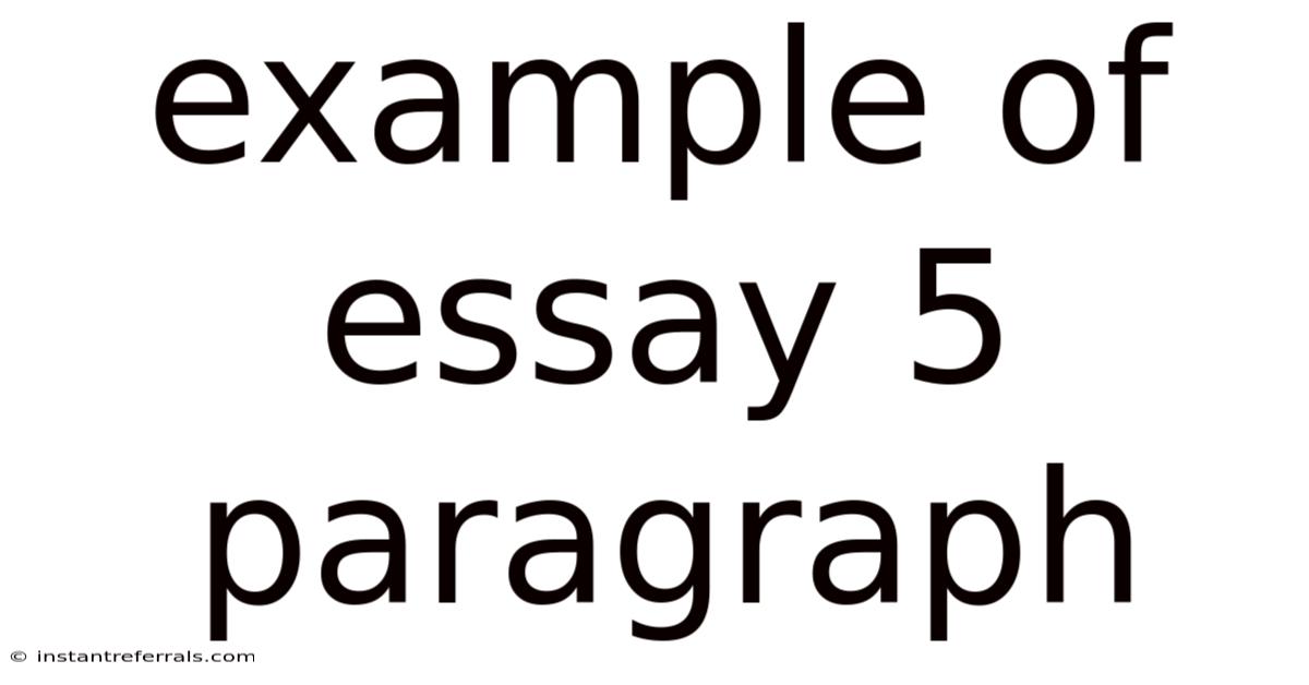 Example Of Essay 5 Paragraph