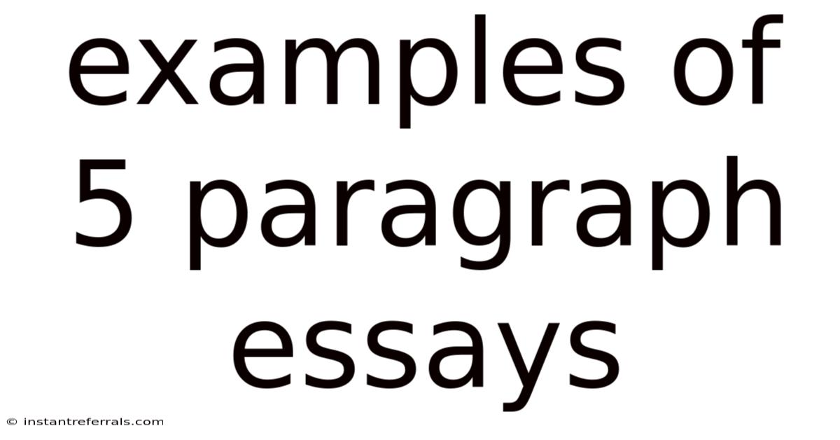 Examples Of 5 Paragraph Essays