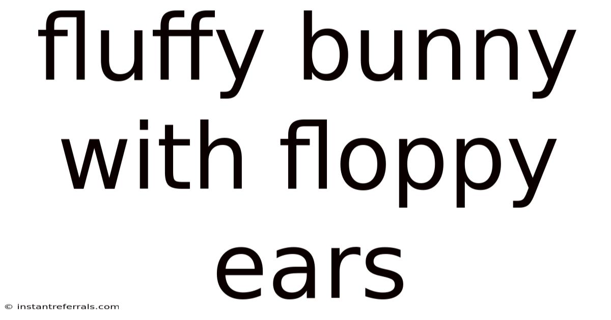 Fluffy Bunny With Floppy Ears