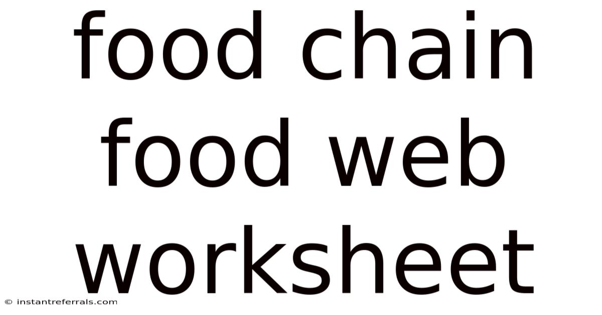 Food Chain Food Web Worksheet