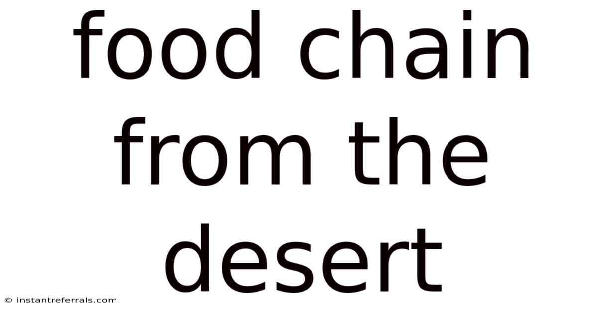 Food Chain From The Desert