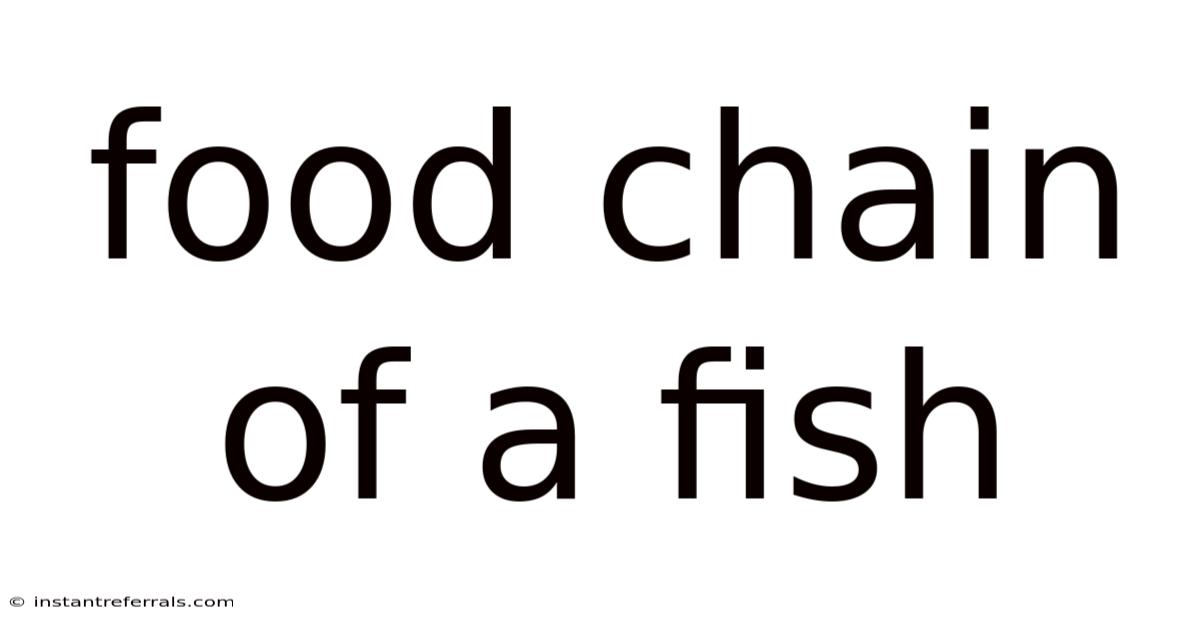 Food Chain Of A Fish