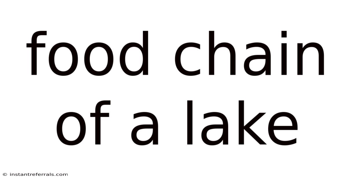 Food Chain Of A Lake