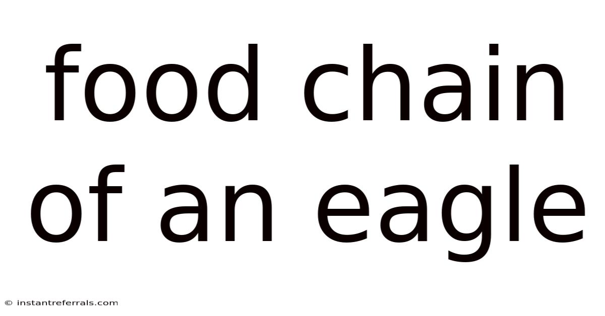 Food Chain Of An Eagle