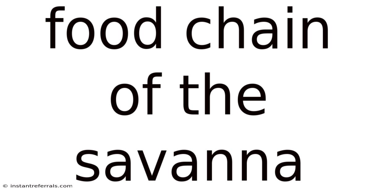 Food Chain Of The Savanna