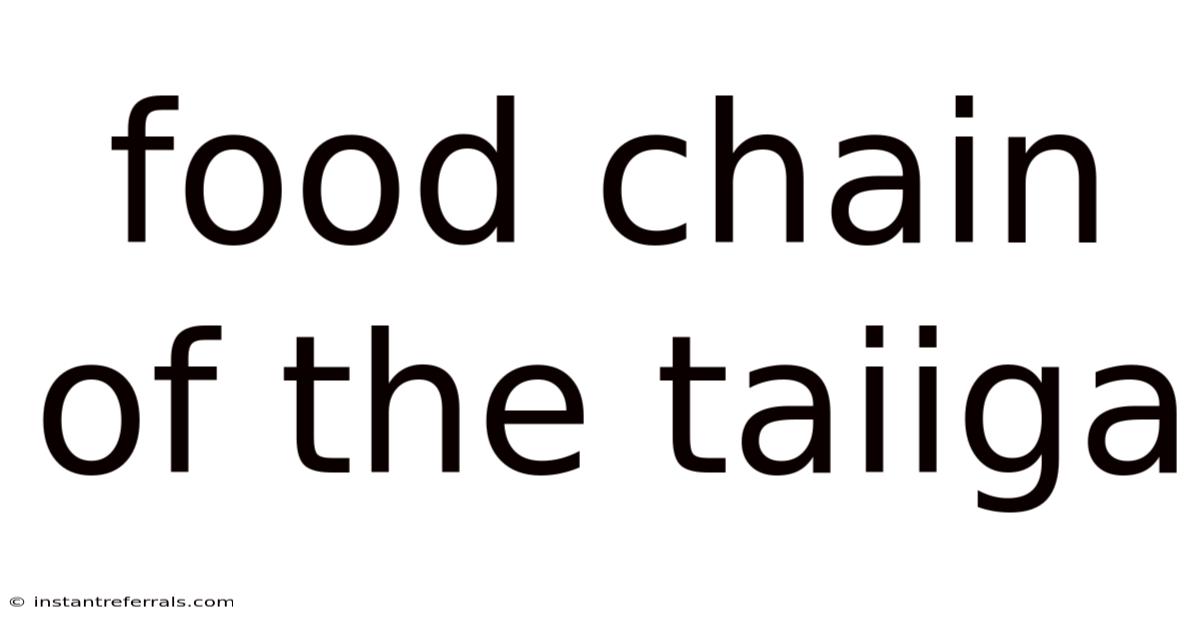 Food Chain Of The Taiiga