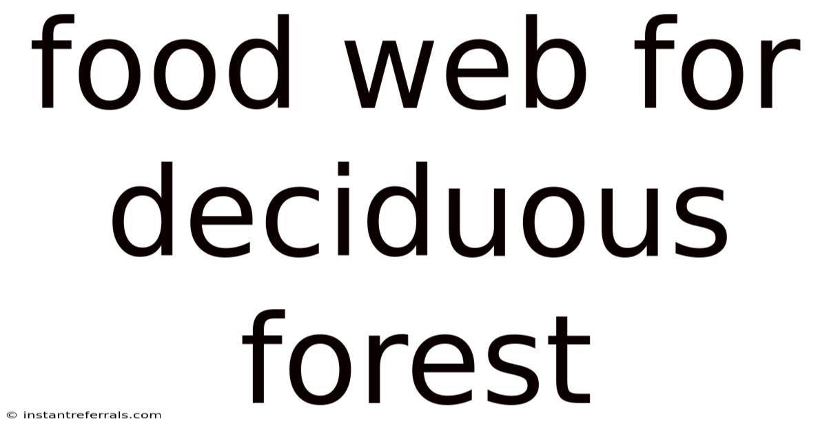 Food Web For Deciduous Forest
