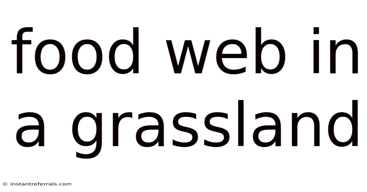Food Web In A Grassland